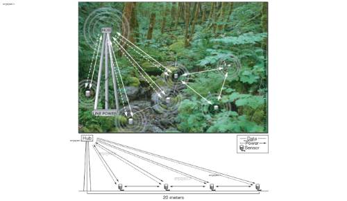 شبکه های حسگر بی سیم شبکه های حسگر بی سیم